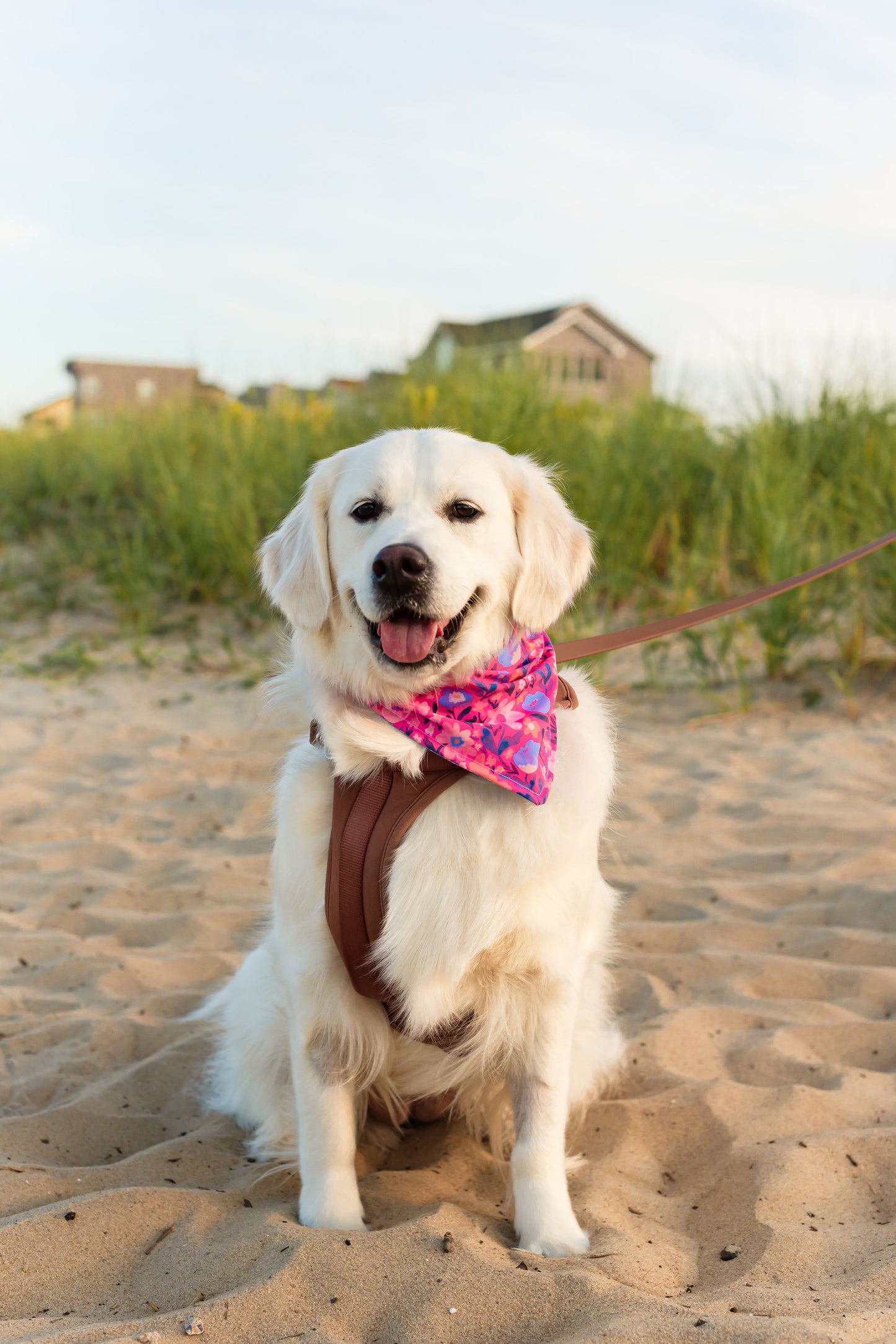 Custom Dog Bandanas