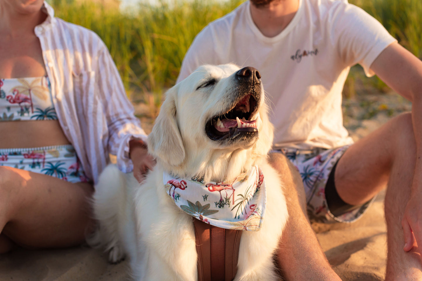 Custom Dog Bandanas