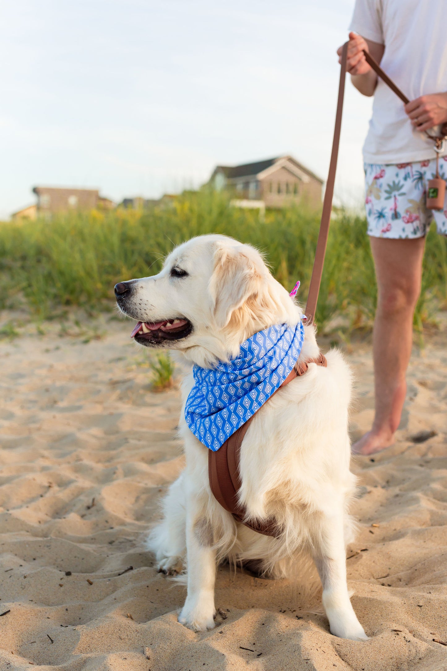 Custom Dog Bandanas