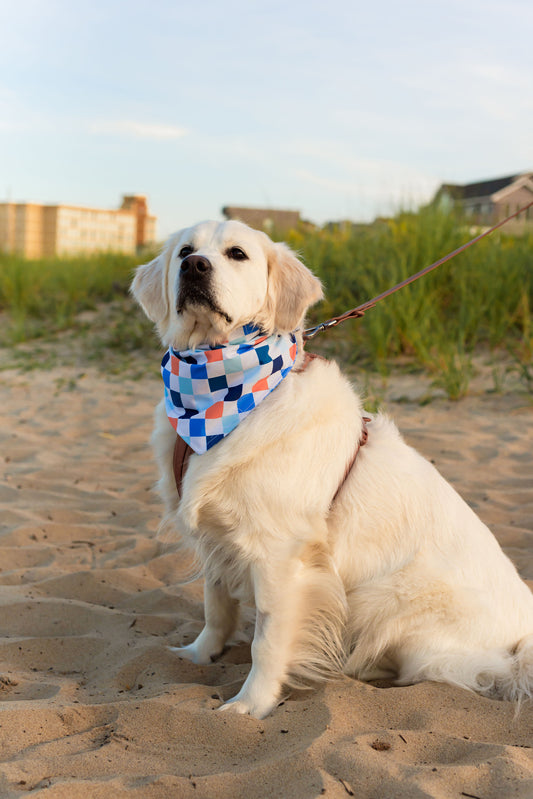 Custom Dog Bandanas